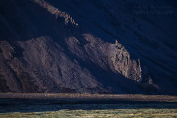 _mg_1573