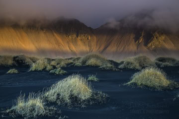 _mg_1980