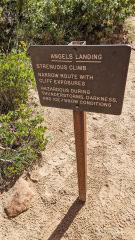 Angels-Landing-USA-20231001_131703