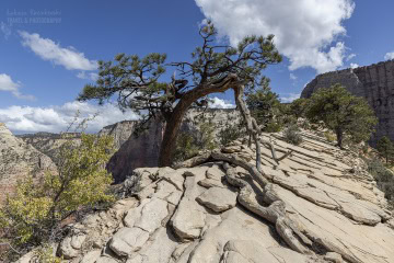 Angels-Landing-USA-_R5_9092 Angels-Landing-USA-_R5_9092