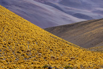 Ruta-Provincial-44_R5_5362