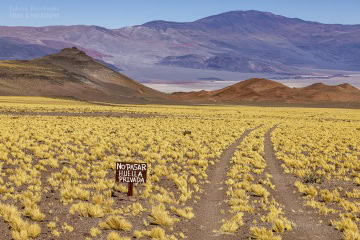 Ruta-Provincial-44_R5_5567