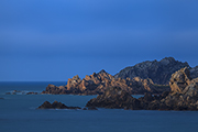 _MG_7867 _MG_7867