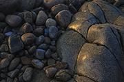 _MG_7878 _MG_7878