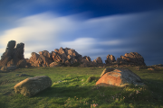 _MG_8101 _MG_8101