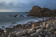 _MG_8149 _MG_8149