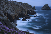 _MG_8266 _MG_8266