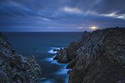 _MG_8271 _MG_8271