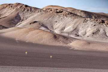cono-de-arita_R5_5619