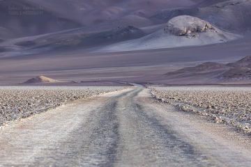 cono-de-arita_R5_5690