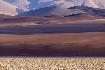 cono-de-arita_R5_5725