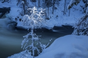 _m4_8371-finlandia-kuusamo _m4_8371-finlandia-kuusamo