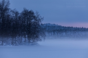 _m4_8426-finlandia-kuusamo _m4_8426-finlandia-kuusamo