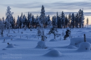 _m4_8651-finlandia-kuusamo _m4_8651-finlandia-kuusamo