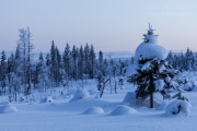 _m4_8659-finlandia-kuusamo _m4_8659-finlandia-kuusamo