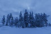 _m4_8685-finlandia-kuusamo _m4_8685-finlandia-kuusamo