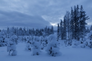 _m4_8701-finlandia-kuusamo _m4_8701-finlandia-kuusamo