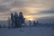 _m4_8744-finlandia-kuusamo _m4_8744-finlandia-kuusamo