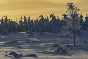 _m4_8807-finlandia-kuusamo _m4_8807-finlandia-kuusamo