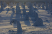 _m4_8946-finlandia-kuusamo _m4_8946-finlandia-kuusamo