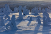 _m4_8950-finlandia-kuusamo _m4_8950-finlandia-kuusamo