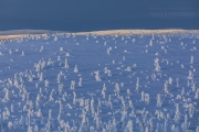 _m4_8956-finlandia-kuusamo _m4_8956-finlandia-kuusamo