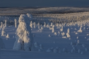 _m4_8999-finlandia-kuusamo _m4_8999-finlandia-kuusamo