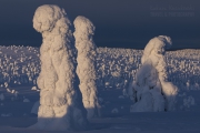 _m4_9007-finlandia-kuusamo _m4_9007-finlandia-kuusamo