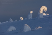 _m4_9015-finlandia-kuusamo _m4_9015-finlandia-kuusamo