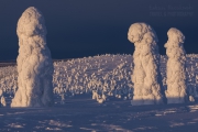 _m4_9041-finlandia-kuusamo _m4_9041-finlandia-kuusamo