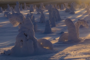 _m4_9045-finlandia-kuusamo _m4_9045-finlandia-kuusamo