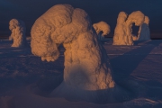 _m4_9107-finlandia-kuusamo _m4_9107-finlandia-kuusamo