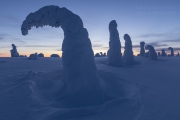 _m4_9239-finlandia-kuusamo _m4_9239-finlandia-kuusamo