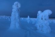 _m4_9278-finlandia-kuusamo _m4_9278-finlandia-kuusamo