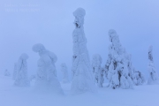 _m4_9421-finlandia-kuusamo _m4_9421-finlandia-kuusamo
