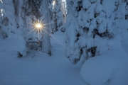 _m4_9476-finlandia-kuusamo _m4_9476-finlandia-kuusamo
