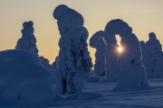 _m4_9533-finlandia-kuusamo _m4_9533-finlandia-kuusamo