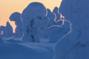 _m4_9586-finlandia-kuusamo _m4_9586-finlandia-kuusamo