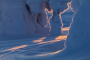_m4_9610-finlandia-kuusamo _m4_9610-finlandia-kuusamo