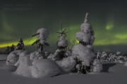 _m4_9669-finlandia-kuusamo _m4_9669-finlandia-kuusamo
