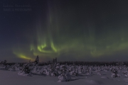 _m4_9675-finlandia-kuusamo _m4_9675-finlandia-kuusamo
