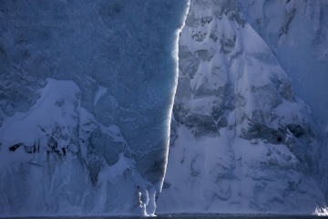 Grenlandia zimą