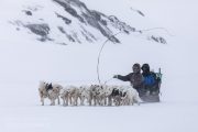 _M4_0723-psy-husky-zaprzeg-Grenlandia