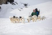 _M4_1123-psy-husky-zaprzeg-Grenlandia