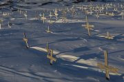 _m4_1458-grenlandia-ilulissat-zima