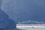 _m4_1652-grenlandia-ilulissat-zima