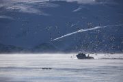 _m4_1869-grenlandia-ilulissat-zima