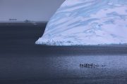 _m4_9771-grenlandia-ilulissat-zima