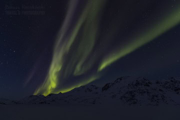grenlandia-zima-sanie-_M4_7845