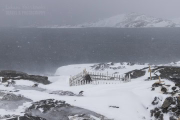 grenlandia-zima-sanie-_MG_0157